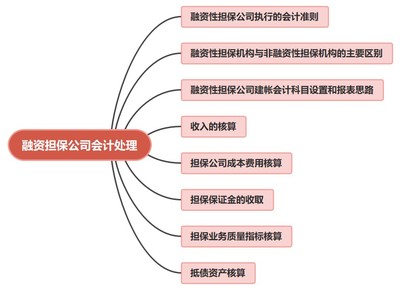 非融資性擔(dān)保業(yè)務(wù)在融資擔(dān)保公司的會(huì)計(jì)賬務(wù)處理探析